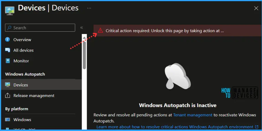 Fix Windows Autopatch is Inactive Error Fig.1