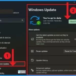 Windows Update Settings options in Windows