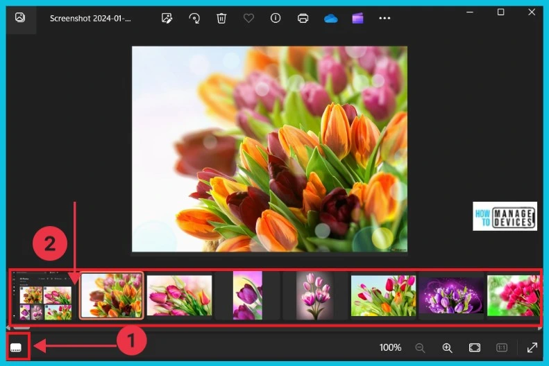 Hide or Show Filmstrip in Photos app in Windows 11 - Fig.4