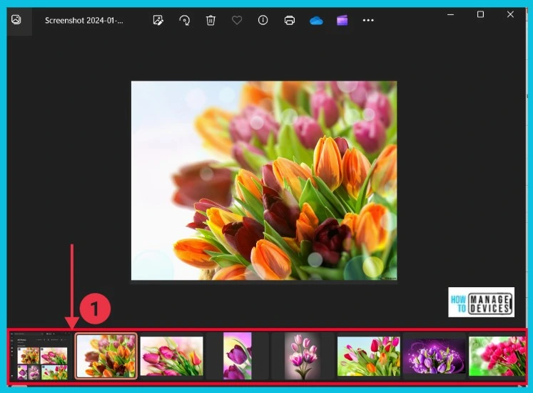 Hide or Show Filmstrip in Photos app in Windows 11 - Fig.