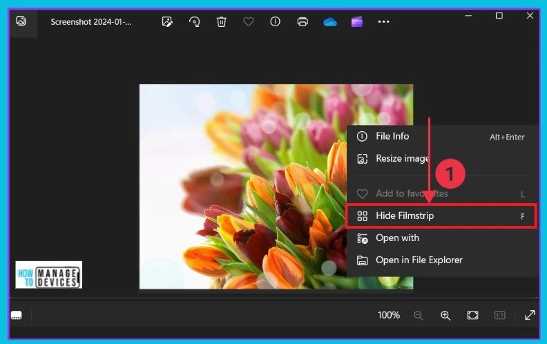 Hide or Show Filmstrip in Photos app in Windows 11 - Fig.6