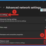 Reset Network Adapters in Windows 11