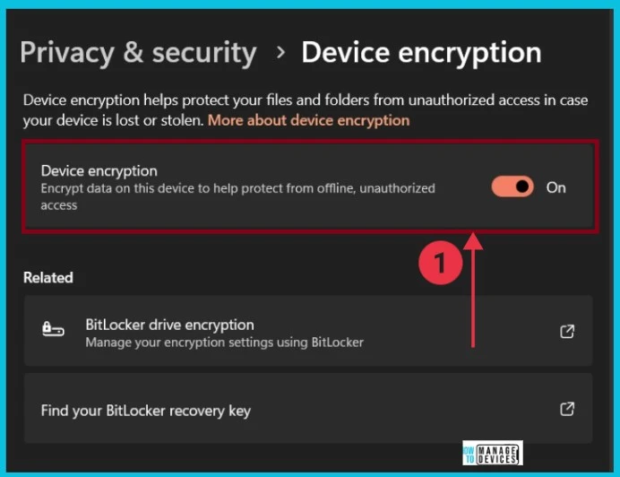 How to Check Drive Encryption Support in Windows 11 - Fig.5