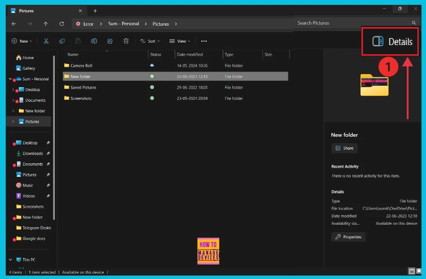 How to Show the Details Pane in File Explorer of Windows 11 - Fig.1