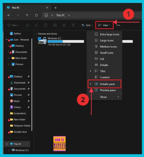 How to Show the Details Pane in File Explorer of Windows 11 - Fig.2