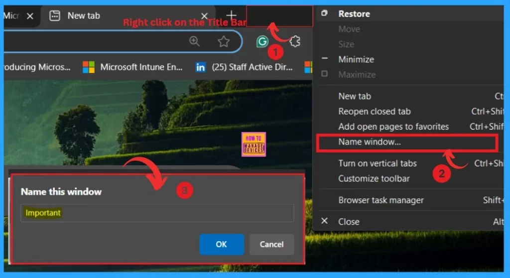 Importance to Add Name for MS Edge Browser Windows - Fig.2