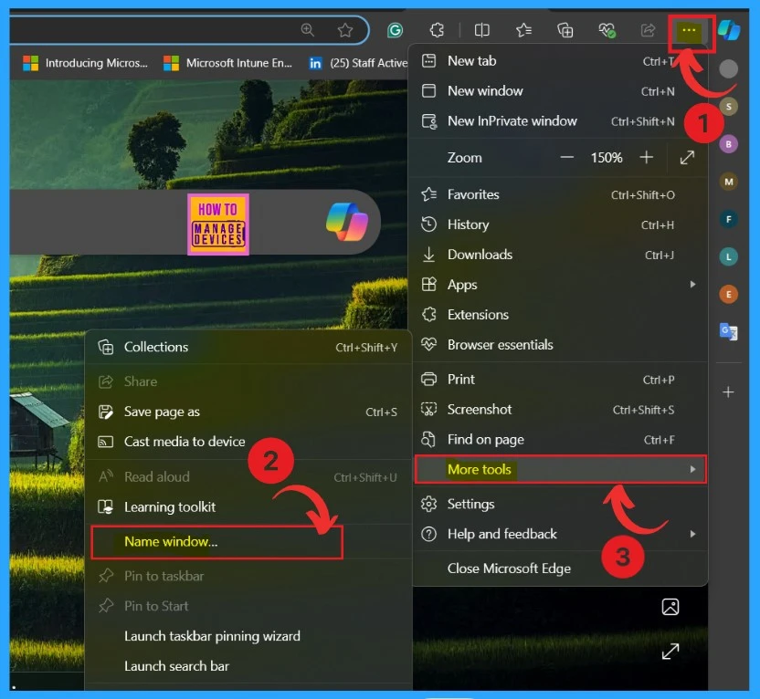 Importance to Add Name for MS Edge Browser Windows - Fig.3