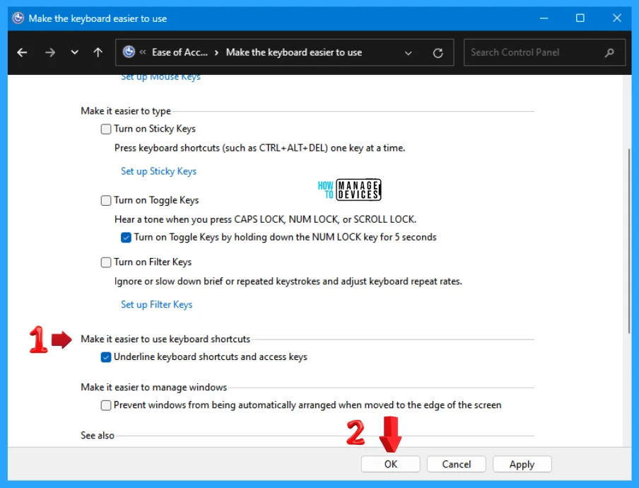 Enable Disable Underline Access Keys in Windows 11 -Fig. 8