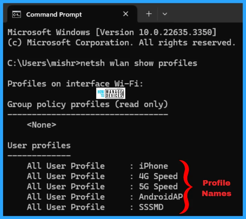 How to Backup and Restore Wi-Fi Network Profiles in Windows 11 - Fig. 3