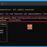 Easy Methods to Find the Install Date of Apps in Windows 11