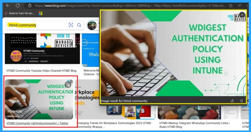The New Magnify Feature on Microsoft Edge-Fig.1