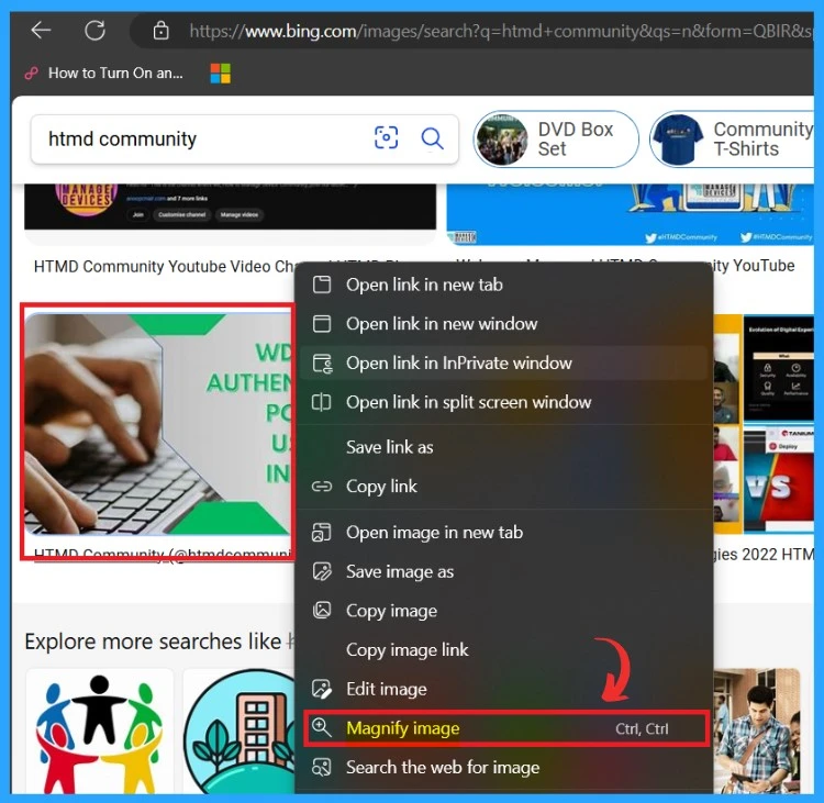 The New Magnify Feature on Microsoft Edge-Fig.2