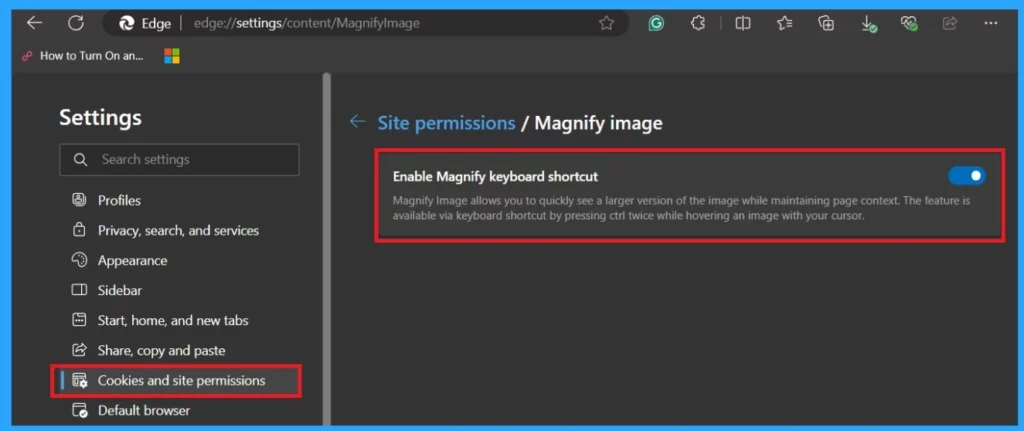 The New Magnify Feature on Microsoft Edge-Fig.3