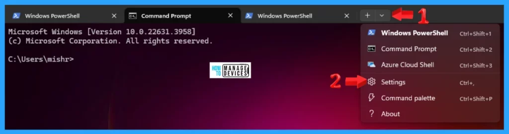 Windows Terminal Allows Turn On or Off the Do You Want to Close All Tabs Prompt in Windows 11 - Fig. 4