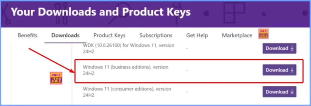 How to Download the Windows 11 24H2 ISO using Visual Studio Subscription 3 How to Download the Windows 11 24H2 ISO using Visual Studio Subscription - Fig.1