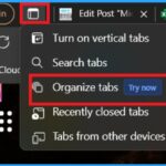 Microsoft Edge Browser Uses AI to Automatically Group and Ungroup Tabs by Common Themes 1 Microsoft Edge Browser Uses AI to Automatically Group and Ungroup Tabs by Common Themes 1