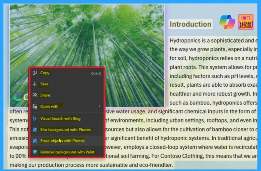 Click to Do Feature a Powerful Productivity Paradigm with AI Assistance across All your Windows Applications-Fig.3 Creds to MS