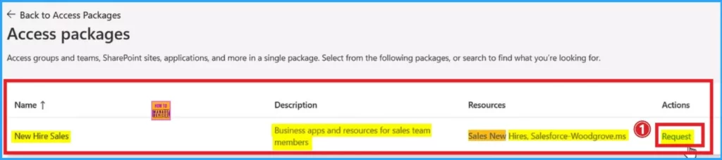 Step by Step Guide to Creating Access Packages in Microsoft Entra Face Check 11 Step by Step Guide to Creating Access Packages in Microsoft Entra Face Check - Fig.11 - Creds to MS