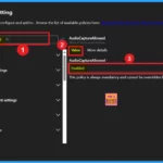 Allow or Block Audio Capture Policy in MS Edge Browser using M365 Admin Center 1
