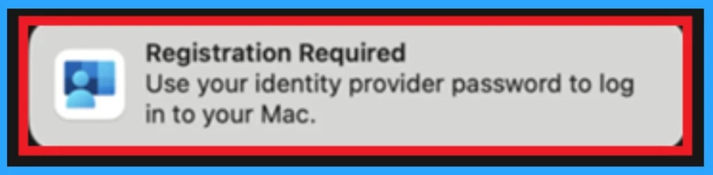 Fix macOS Error 100001 SSO Error while using Intune 3 Fix macOS Error 100001 SSO Error while using Intune - Fig.3 Creds to MS