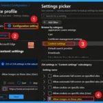 Image Loading Configuration for Websites using Intune Policy 1 Image Loading Configuration for Websites using Intune Policy 1