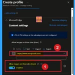 Image Loading Configuration for Websites using Intune Policy 2 Image Loading Configuration for Websites using Intune Policy 2